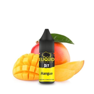 Concentré Mangue de la...