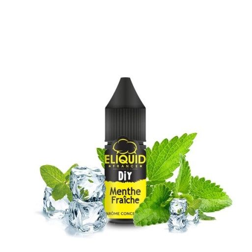 Concentré Menthe Fraîche de la marque ELiquid France