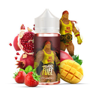 E-liquide Hogano 100ml de...